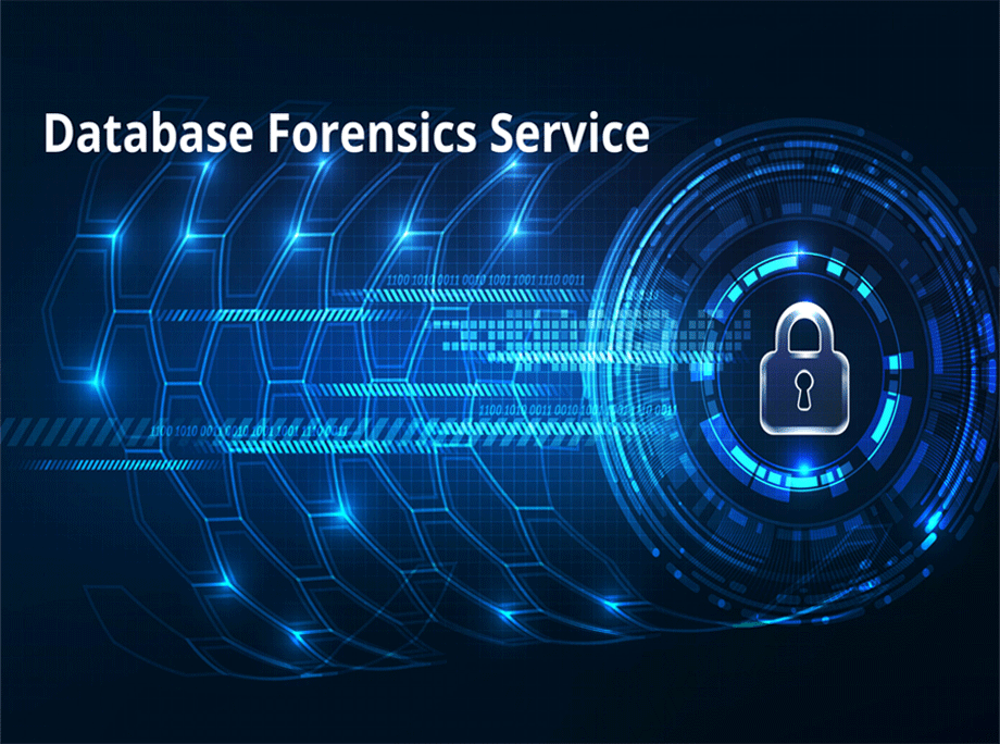 Database-Forensics-Service
